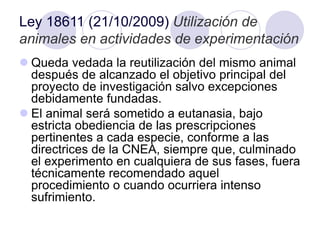Ley 18611 (21/10/2009) Utilización de
animales en actividades de experimentación
 Queda vedada la reutilización del mismo animal
después de alcanzado el objetivo principal del
proyecto de investigación salvo excepciones
debidamente fundadas.
 El animal será sometido a eutanasia, bajo
estricta obediencia de las prescripciones
pertinentes a cada especie, conforme a las
directrices de la CNEA, siempre que, culminado
el experimento en cualquiera de sus fases, fuera
técnicamente recomendado aquel
procedimiento o cuando ocurriera intenso
sufrimiento.
 