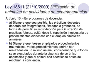 Artículo 16 .- En programas de docencia:
 a) Siempre que sea posible, las prácticas docentes
deberán ser fotografiadas, filmadas o grabadas, de
forma de permitir su reproducción para ilustración de
prácticas futuras, evitándose la repetición innecesaria de
procedimientos didácticos con el empleo directo de
animales.
 b) Siempre que fuesen empleados procedimientos
traumáticos, varios procedimientos podrán ser
realizados en un mismo animal, considerando que todos
sean ejecutados durante la vigencia de un único
anestésico y que el animal sea sacrificado antes de
recobrar la conciencia.
Ley 18611 (21/10/2009) Utilización de
animales en actividades de experimentación
 