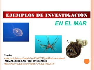  
Corales
www.youtube.com/watch?v=dDNt3Y4Tjp4&feature=related
ANIMALES DE LAS PROFUNDIDADES
http://www.youtube.com/watch?v=Lc2p1m6JeTY
EN EL MAR
EJEMPLOS DE INVESTIGACIÓN
 