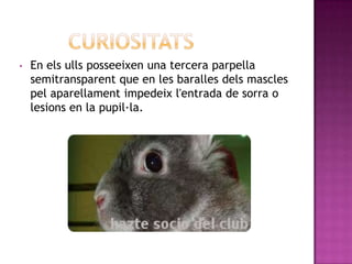 •   En els ulls posseeixen una tercera parpella
    semitransparent que en les baralles dels mascles
    pel aparellament impedeix l'entrada de sorra o
    lesions en la pupil·la.
 