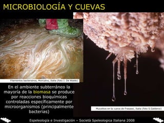 En el ambiente subterráneo la mayoría de la  biomasa  se produce por reacciones bioquímicas controladas específicamente por microorganismos (principalmente bacterias) Mucolitos en la cueva de Frasassi, Italia (foto S.Galdenzi)  Filamentos bacterianos, Moncalvo, Italia (foto J. De Waele) MICROBIOLOGÍA Y CUEVAS Espeleología e Investigación – Società Speleologica Italiana 2008 
