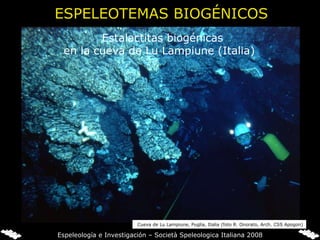     Estalactitas biogénicas en la cueva de Lu Lampiune (Italia) Cueva de Lu Lampiune, Puglia, Italia (foto R. Onorato, Arch. CSS Apogon) ESPELEOTEMAS BIOGÉNICOS Espeleología e Investigación – Società Speleologica Italiana 2008 