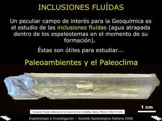 Un peculiar campo de interés para la Geoquímica es el estudio de las  inclusiones fluídas  (agua atrapada dentro de los espeleotemas en el momento de su formación).  Éstas son útiles para estudiar... INCLUSIONES FLUÍDAS 1 cm Paleoambientes y el Paleoclima Inclusión fluida bifásica de la Cueva de los Cristales, Naica, México (foto P.Forti) Espeleología e Investigación – Società Speleologica Italiana 2008 