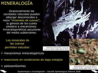 MINERALOGÍA Ocasionalmente las cavidades naturales pueden albergar desconocidos o raros “ minerales de cuevas ”, la génesis de los cuales obedece a mecanismos  mineralogenéticos peculiares del medio subterráneo. Los minerales de las cuevas  permiten estudiar:   mecanismos mineralogénicos reacciones en condiciones de baja entalpía paleoambientes   Helictitas de tenardita, Cueva de Cutrona, Sicilia, Italia (foto P. Forti) Metavoltina(?), Cueva de Allume, Vulcano, Sicilia, Italia (foto P. Forti) Espeleología e Investigación – Società Speleologica Italiana 2008 