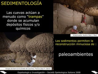 SEDIMENTOLOGÍA Las cuevas actúan a menudo como “ trampas ” donde se acumulan depósitos físicos y/o químicos Los sedimentos permiten la reconstrucción minuciosa de : paleoambientes Hirlatzhoehle, Austria (foto L. Plan) Hongos de barro en la Grotte de Lauzinas, Francia (foto P. Cabrol) Espeleología e Investigación – Società Speleologica Italiana 2008 