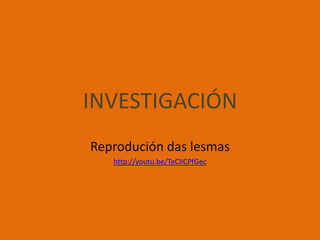 INVESTIGACIÓN
Reprodución das lesmas
http://youtu.be/TeCIICPfGec
 