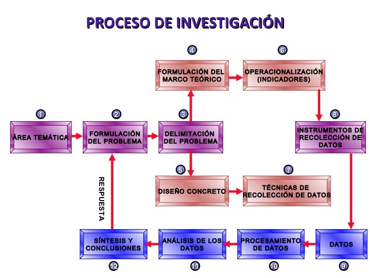 Número de becario conacyt