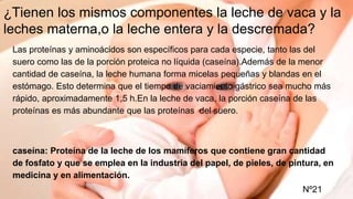 ¿Tienen los mismos componentes la leche de vaca y la
leches materna,o la leche entera y la descremada?
Las proteínas y aminoácidos son específicos para cada especie, tanto las del
suero como las de la porción proteica no líquida (caseína).Además de la menor
cantidad de caseína, la leche humana forma micelas pequeñas y blandas en el
estómago. Esto determina que el tiempo de vaciamiento gástrico sea mucho más
rápido, aproximadamente 1,5 h.En la leche de vaca, la porción caseína de las
proteínas es más abundante que las proteínas del suero.
caseína: Proteína de la leche de los mamíferos que contiene gran cantidad
de fosfato y que se emplea en la industria del papel, de pieles, de pintura, en
medicina y en alimentación.
Nº21
 