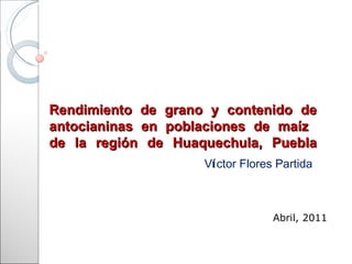 Rendimiento de grano y contenido de antocianinas en poblaciones de maíz  de la región de Huaquechula, Puebla V í ctor Flores Partida Abril, 2011 