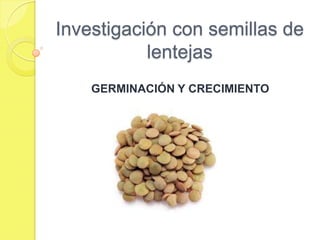 Investigación con semillas de
           lentejas
    GERMINACIÓN Y CRECIMIENTO
 