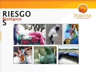 RIESGO
Biológico
S
 
