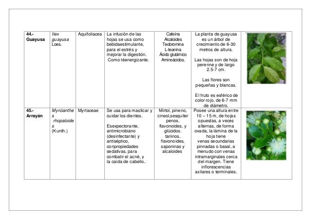 Investigacion E Informacion Sobre Plantas Medicinales