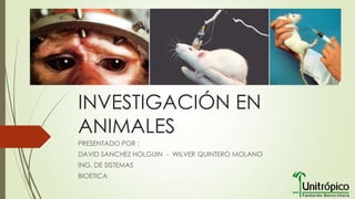 INVESTIGACIÓN EN
ANIMALES
PRESENTADO POR :
DAVID SANCHEZ HOLGUIN - WILVER QUINTERO MOLANO
ING. DE SISTEMAS
BIOETICA

 