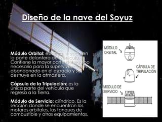 Diseño de la nave del Soyuz

Módulo Orbital: esférica, situado en
la parte delantera del vehículo.
Contiene la mayor parte del equipo
necesario para la supervivencia. Es
abandonado en el espacio y se
destruye en la atmósfera.
Cápsula de la Tripulación: es la
única parte del vehículo que
regresa a la Tierra.
Módulo de Servicio: cilíndrico. Es la
sección donde se encuentran los
motores orbitales, los tanques de
combustible y otros equipamientos.

 