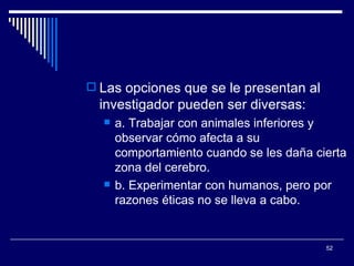 Las opciones que se le presentan al investigador pueden ser diversas:  a. Trabajar con animales inferiores y observar cómo afecta a su comportamiento cuando se les daña cierta zona del cerebro.  b. Experimentar con humanos, pero por razones éticas no se lleva a cabo.  