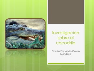 Investigación
sobre el
cocodrilo
Camila Fernanda Castro
Mendoza
 