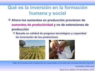 Fondo Fiduciario FAOInvestigación sobre Políticas para Promover Inversiones en Agricultura