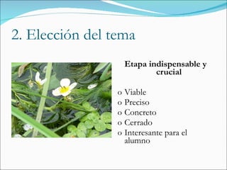 2. Elección del tema Etapa indispensable y crucial Viable Preciso Concreto Cerrado Interesante para el alumno 