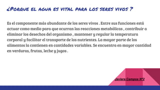 ¿Porque el agua es vital para los seres vivos ?
Es el componente más abundante de los seres vivos . Entre sus funciones está
actuar como medio para que ocurran las reacciones metabólicas , contribuir a
eliminar los desechos del organismo , mantener y regular la temperatura
corporal y facilitar el transporte de los nutrientes. La mayor parte de los
alimentos la contienen en cantidades variables. Se encuentra en mayor cantidad
en verduras, frutas, leche y jugos .
Javiera Campos Nª2
 