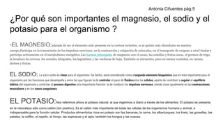 ¿Por qué son importantes el magnesio, el sodio y el
potasio para el organismo ?
-EL MAGNESIO:además de ser el elemento más presente en la corteza terrestre, es el quinto más abundante en nuestro
cuerpo,Participa en la transmisión de los impulsos nerviosos, en la contracción y relajación de músculos, en el transporte de oxígeno a nivel tisular y
participa activamente en el metabolismo energético.Las fuentes principales de magnesio son el cacao, las semillas y frutas secas, el germen de trigo,
la levadura de cerveza, los cereales integrales, las legumbres y las verduras de hoja. También se encuentra, pero en menor cantidad, en carnes,
lácteos y frutas.
EL SODIO: La sal o sodio es clave para el organismo. De hecho, está considerada como elsegundo elemento bioquímico que es más importante para el
organismo por las funciones que desempeña y entre las que figuran la de controlar el paso de fluidosentre las células, aparte de contribuir a regular el equilibrio
hídrico del organismo y controlar el proceso digestivo.otra importante función: la de conducir los impulsos nerviosos, siendo clave igualmente en las contracciones
musculares y en los vasos sanguíneos.
EL POTASIO:Nos referimos ahora al potasio natural, al que ingerimos a diario a través de los alimentos. El potasio se presenta
en la naturaleza sólo como catión (ion positivo). Es el catión más importante de todas las células de los organismos humano y animal, e
indispensable para la función celular. Productos alimenticios ricos en potasio son las bananas, la carne, los albaricoques, los kiwis, las grosellas, las
patatas, la coliflor, el repollo, el hinojo, las espinacas y el apio; también los hongos y las nueces.
Antonia Cifuentes pàg.5
 