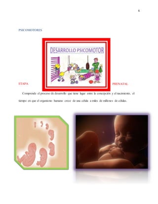 6
PSICOMOTORES
ETAPA PRENATAL
Comprende el proceso de desarrollo que tiene lugar entre la concepción y el nacimiento, el
tiempo en que el organismo humano crece de una célula a miles de millones de células.
 
