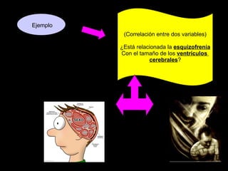 Ejemplo (Correlación entre dos variables) ¿Está relacionada la  esquizofrenia Con el tamaño de los  ventrículos  cerebrales ? 
