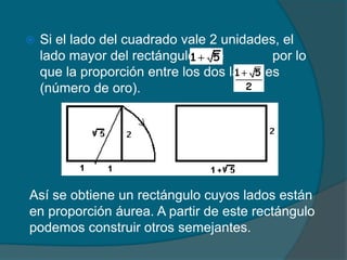    Si el lado del cuadrado vale 2 unidades, el
    lado mayor del rectángulo vale         por lo
    que la proporción entre los dos lados es
    (número de oro).




Así se obtiene un rectángulo cuyos lados están
en proporción áurea. A partir de este rectángulo
podemos construir otros semejantes.
 