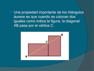    Una propiedad importante de los triángulos
    áureos es que cuando se colocan dos
    iguales como indica la figura, la diagonal
    AB pasa por el vértice C.
 