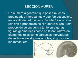 SECCION AUREA
   Un número algebraico que posee muchas
    propiedades interesantes y que fue descubierto
    en la antigüedad, no como “unidad” sino como
    relación o proporción es el número áureo. Esta
    proporción se encuentra tanto en algunas
    figuras geométricas como en la naturaleza en
    elementos tales como caracolas, nervaduras
    de las hojas de algunos árboles, el grosor de
    las ramas, etc.
 