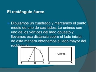 El rectángulo áureo

   Dibujamos un cuadrado y marcamos el punto
    medio de uno de sus lados. Lo unimos con
    uno de los vértices del lado opuesto y
    llevamos esa distancia sobre el lado inicial,
    de esta manera obtenemos el lado mayor del
    rectángulo.
 