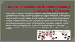  a pesar de que los humanos pertenecemos a una misma especie, es casi imposible encontrar a dos
personas que sean idénticas, con excepción de los gemelos idénticos. Esto os hace pensar que somos
diferentes, pero ¿somos diferentes en verdad? ¿Existe alguna diferencia entre una persona de la etnia
negra con respecto a la blanca que haga de estos dos seres una nueva especie o un grupo diferente
 Es bueno aclarar que desde que el hombre se estableció en un lugar fijo, comenzó a seleccionar
semillas para obtener plantas de óptima calidad. Al empezar a criar animales, siempre seleccionó a los
mejores representantes de cada especie para producir mejores especímenes. Aquí estaba haciendo
selección, aplicando principios genéticos sin conocerlos. Empezó a hacer cruces selectivos por
endogamia, cruces entre individuos de una misma raza o grupo, para obtener cepas puras de plantas y
animales.
 