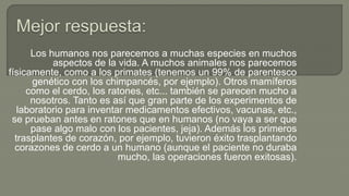 Los humanos nos parecemos a muchas especies en muchos
aspectos de la vida. A muchos animales nos parecemos
físicamente, como a los primates (tenemos un 99% de parentesco
genético con los chimpancés, por ejemplo). Otros mamíferos
como el cerdo, los ratones, etc... también se parecen mucho a
nosotros. Tanto es así que gran parte de los experimentos de
laboratorio para inventar medicamentos efectivos, vacunas, etc.,
se prueban antes en ratones que en humanos (no vaya a ser que
pase algo malo con los pacientes, jeja). Además los primeros
trasplantes de corazón, por ejemplo, tuvieron éxito trasplantando
corazones de cerdo a un humano (aunque el paciente no duraba
mucho, las operaciones fueron exitosas).
 