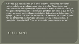 A medida que nos alejamos en el árbol evolutivo, nos vamos pareciendo
menos en la forma y en los genes a otros animales. Sin embargo nos
parecemos más de lo que nosotros pensamos a insectos como las hormigas.
Aunque no tengamos grandes similitudes genéticas con ellas, sí que muchos
comportamientos son iguales en sociedades de hormigas y de humanos. Por
ejemplo: ¿Sabías que millones de años de que existieran los humanos como
hoy los conocemos, las hormigas ya habían inventado la agricultura, la
ganadería y la esclavitud? Pues por sorprendente que parezca, es así.
 