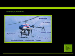 COMPONENTES DEL SISTEMA 