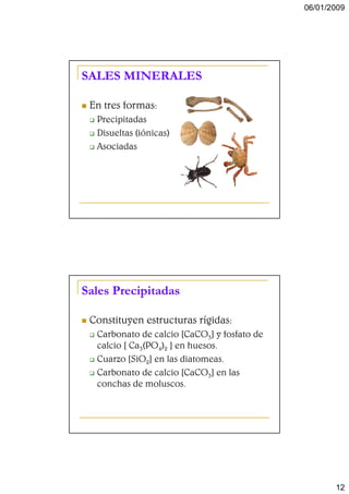 06/01/2009




SALES MINERALES

 En tres formas:
  Precipitadas
  Disueltas (iónicas)
  Asociadas




Sales Precipitadas

 Constituyen estructuras rígidas:
  Carbonato de calcio [CaCO3] y fosfato de
  calcio [ Ca3(PO4)2 ] en huesos.
  Cuarzo [SiO2] en las diatomeas.
  Carbonato de calcio [CaCO3] en las
  conchas de moluscos.




                                                    12
 