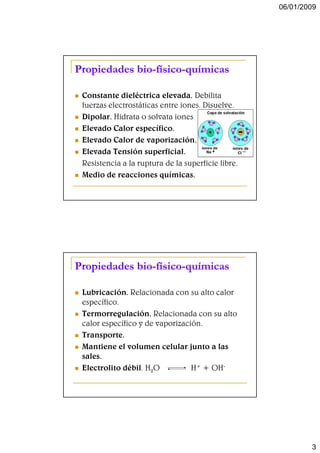 06/01/2009




Propiedades bio-físico-químicas
            bio-físico-

 Constante dieléctrica elevada. Debilita
 fuerzas electrostáticas entre iones. Disuelve.
 Dipolar. Hidrata o solvata iones
 Elevado Calor específico.
 Elevado Calor de vaporización.
 Elevada Tensión superficial.
 Resistencia a la ruptura de la superficie libre.
 Medio de reacciones químicas.




Propiedades bio-físico-químicas
            bio-físico-

 Lubricación. Relacionada con su alto calor
 específico.
 Termorregulación. Relacionada con su alto
 calor específico y de vaporización.
 Transporte.
 Mantiene el volumen celular junto a las
 sales.
 Electrolito débil. H2O          H+ + OH-




                                                            3
 