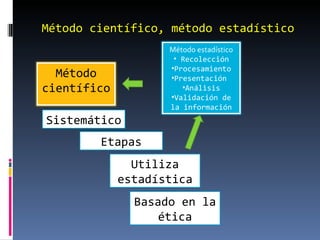 Método científico, método estadístico Etapas Sistemático Utiliza estadística Basado en la ética Método científico Método estadístico Recolección Procesamiento Presentación  Análisis Validación de la información 