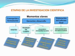 Describir paradigmas, métodos, técnicas e instrumentos de la investigación científica.
