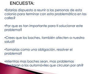 ENCUESTA:
•Estarías dispuesto a reunir a las personas de esta
colonia para terminar con esta problemática en las
calles?

•Por que es tan importante para ti solucionar este
problema?

•Crees que los baches, también afecten a nuestra
salud?

•Tomarías como una obligación, resolver el
problema?

•Mientras mas baches sean, mas problemas
afectaran a los automóviles que circulan por ahí?
 
