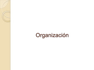 Organización
 