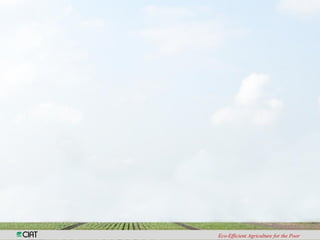 Investigacion en patologia de arroz