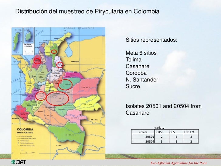 Resultado de imagen para arroz en colombia mapa