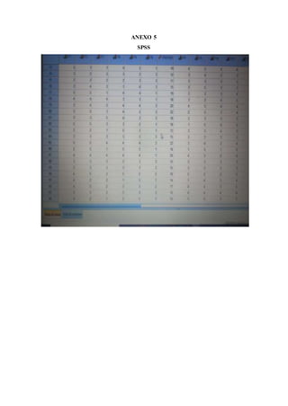 ANEXO 5
SPSS
 