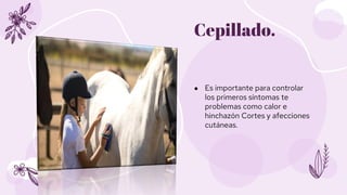 ● Es importante para controlar
los primeros síntomas te
problemas como calor e
hinchazón Cortes y afecciones
cutáneas.
Cep...