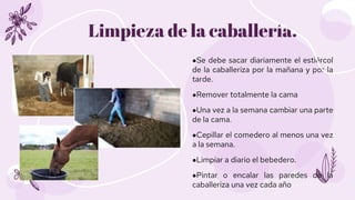 ●Se debe sacar diariamente el estiércol
de la caballeriza por la mañana y por la
tarde.
●Remover totalmente la cama
●Una v...