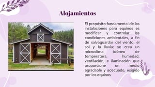 Alojamientos
El propósito fundamental de las
instalaciones para equinos es
modificar y controlar las
condiciones ambiental...