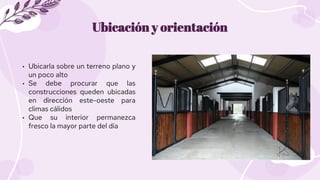 Ubicación y orientación
• Ubicarla sobre un terreno plano y
un poco alto
• Se debe procurar que las
construcciones queden ...