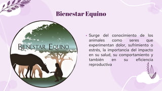 Bienestar Equino
• Surge del conocimiento de los
animales como seres que
experimentan dolor, sufrimiento o
estrés, la impo...