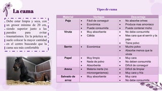 La cama
Debe estar limpia y seca, con
un grosor mínimo de 20 cm,
siendo superior junto a las
paredes para evitar
traumatis...