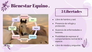 ● Libre de hambre y sed.
● Presencia de refugio y
protección.
● Ausencia de enfermedades o
lesiones.
● Posibilidad de expr...